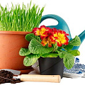 Товары для растений Товары для растений